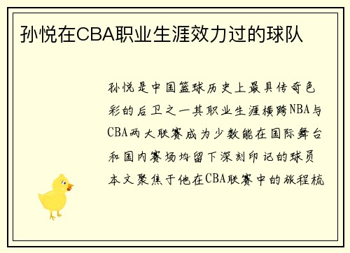 孙悦在CBA职业生涯效力过的球队